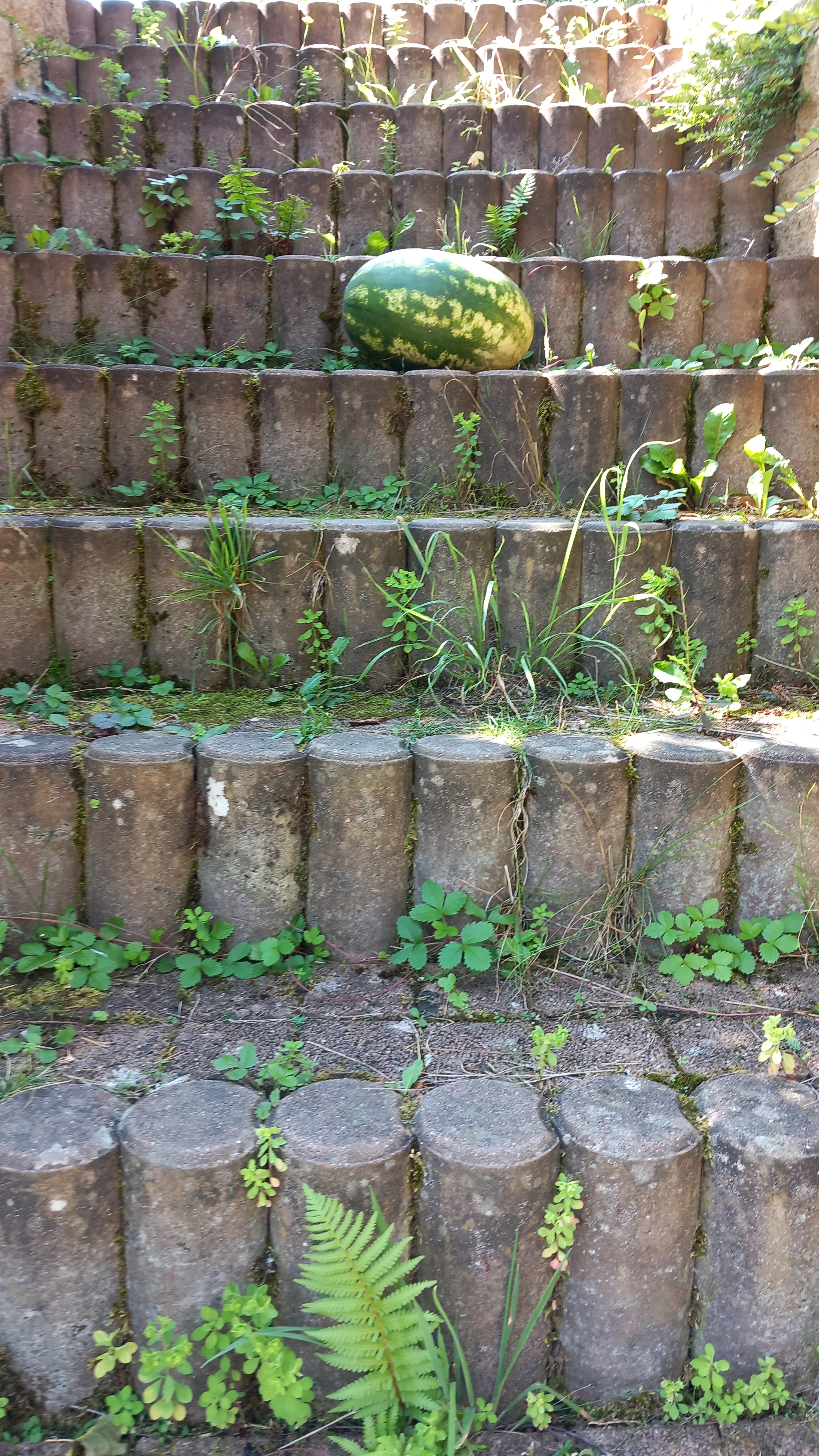 20230818_130727.jpg